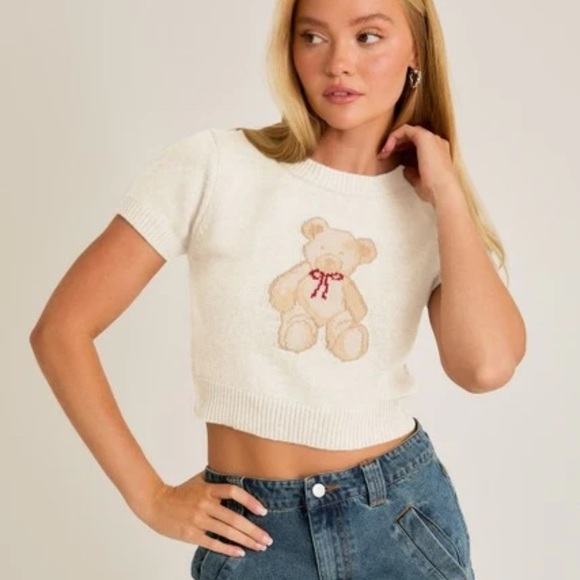 Sweaters - NWT Cute Teddy Bear Crop Top Sweater